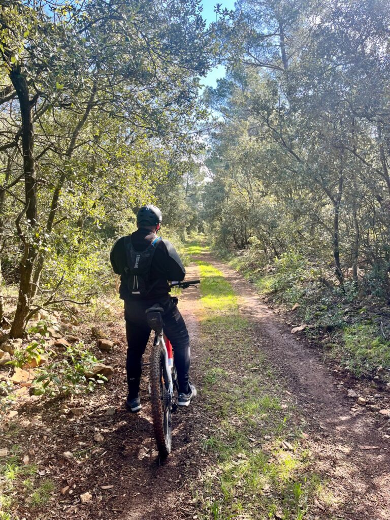 VTT dans foret salernes